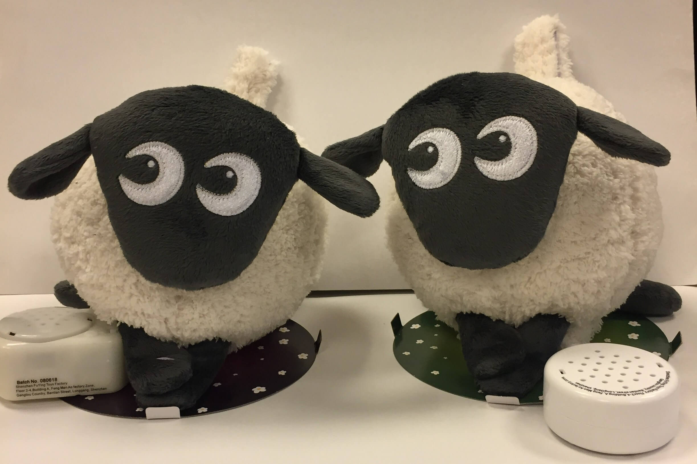 two Ewan the sheep sitting side by side