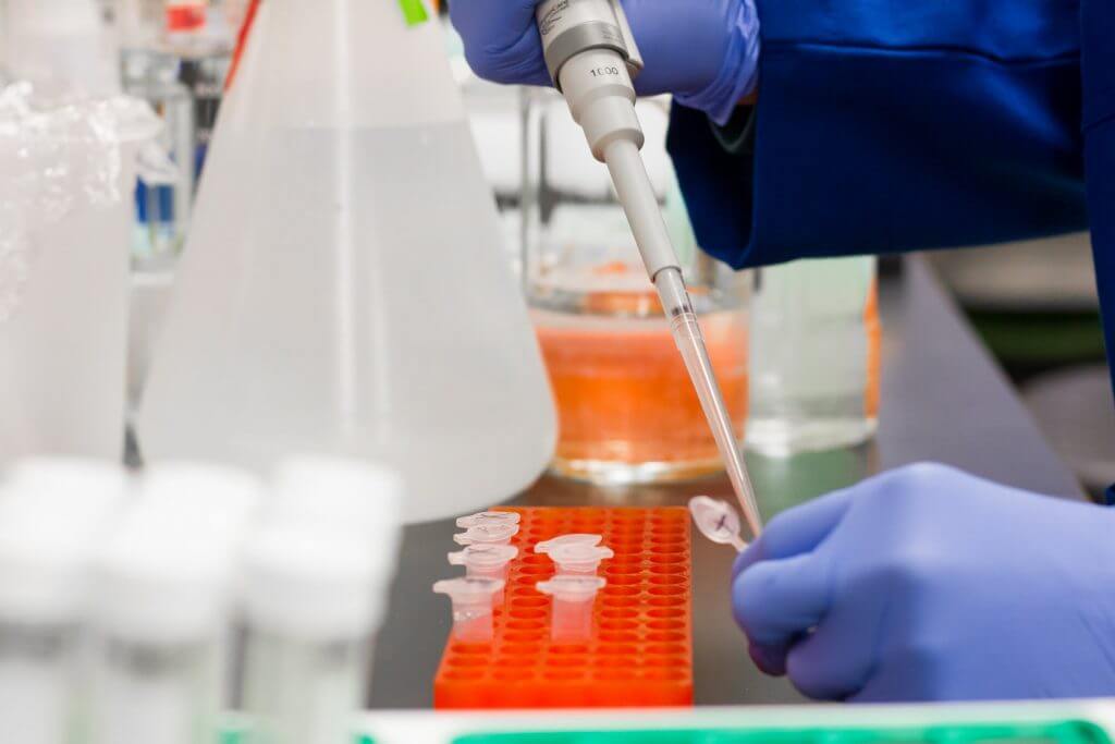 A technician wearing blue rubber gloves working in a laboratory./A hand holding a test tube with a label that reads PRUEBA COVID-19.